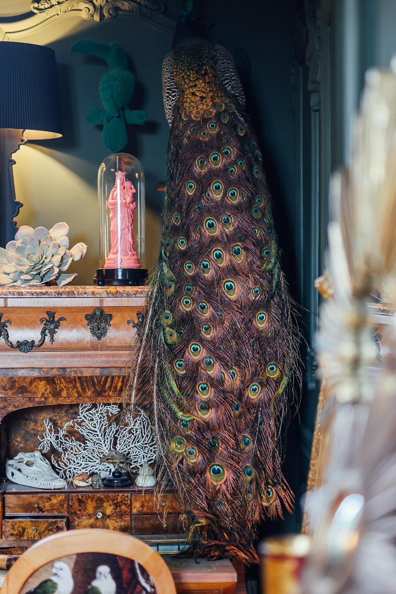 Bed and Breakfast Malouiniere Guillaume Onffroy Saint-Malo Exteriér fotografie